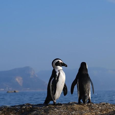 Penguin Haven . Luxury 2 Bedroom, Boulders Beach. Cape Town Ngoại thất bức ảnh