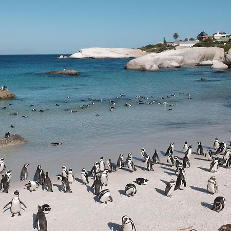 Penguin Haven . Luxury 2 Bedroom, Boulders Beach. Cape Town Ngoại thất bức ảnh